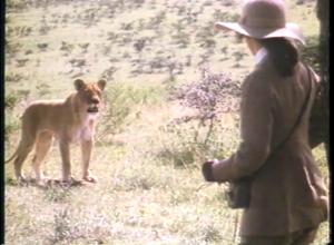 [News Clip: Out of Africa]
