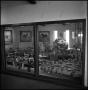 Photograph: [Trophy room of the Cutter Bill Arena]