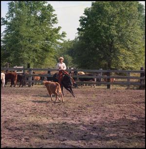 Primary view of object titled '[Eddie Young on horseback]'.