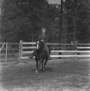 [Woman Riding a Horse in a Fenced Area]