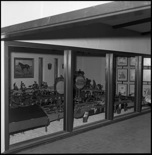 [Diagonal view of a trophy room of the Cutter Bill Arena]