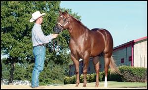 [Man and a Horse at Reata Ranch]