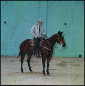 [Man on horseback, Odessa]