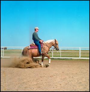 [Man Riding a Horse at McQuay Stables]
