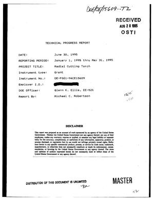 Radical cutting torch. Technical progress report, January 1, 1995-May 31, 1995