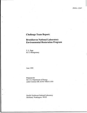 Challenge Team Report: Brookhaven National Laboratory Environmental Restoration Program
