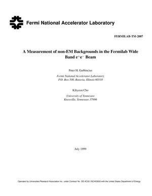 A measurement of non-EM backgrounds in the Fermilab wide band e+e- beam