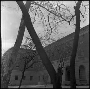 [Business Administration Building through trees]