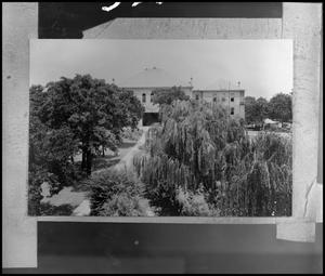 [View of the Main Building through trees]
