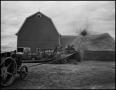 Photograph: [Thresher launching wheat stalks into a pile]