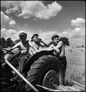 Primary view of object titled '[Three young men at a tractor]'.