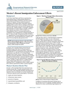 Mexico’s Recent Immigration Enforcement Efforts