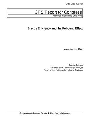Energy Efficiency and the Rebound Effect