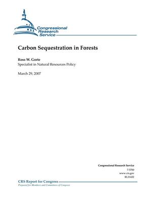Carbon Sequestration in Forests