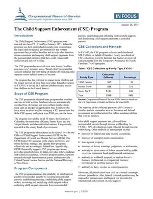 Primary view of object titled 'The Child Support Enforcement (CSE) Program'.