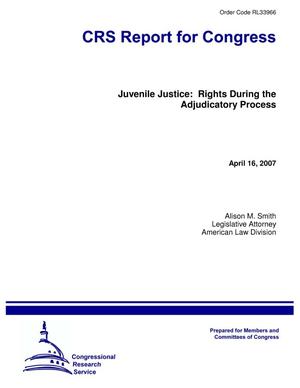 Juvenile Justice: Rights During the Adjudicatory Process