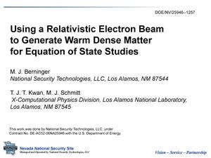 Using a Relativistic Electron Beam to Generate Warm Dense Matter for Equation of State Studies