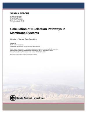 Calculation of nucleation pathways in membrane systems.