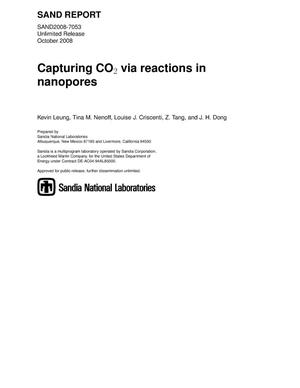 Capturing CO2 via reactions in nanopores.