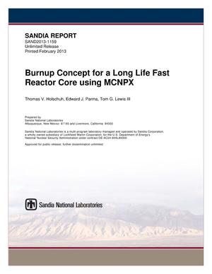 Burnup concept for a long-life fast reactor core using MCNPX.