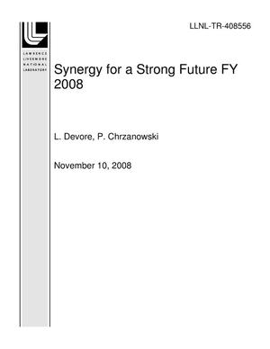 Synergy for a Strong Future FY 2008