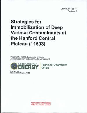 STRATEGIES FOR IMMOBILIZATION OF DEEP VADOSE ZONE CONTAMINANTS AT THE HANFORD CENTRAL PLATEAU