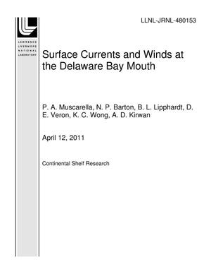 Surface Currents and Winds at the Delaware Bay Mouth