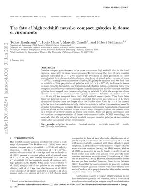 The fate of high redshift massive compact galaxies in dense environments