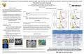Poster: Hydrogel Tracer Beads: The Development, Modification, and Testing of …