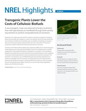 Transgenic Plants Lower the Costs of Cellulosic Biofuels (Fact Sheet)