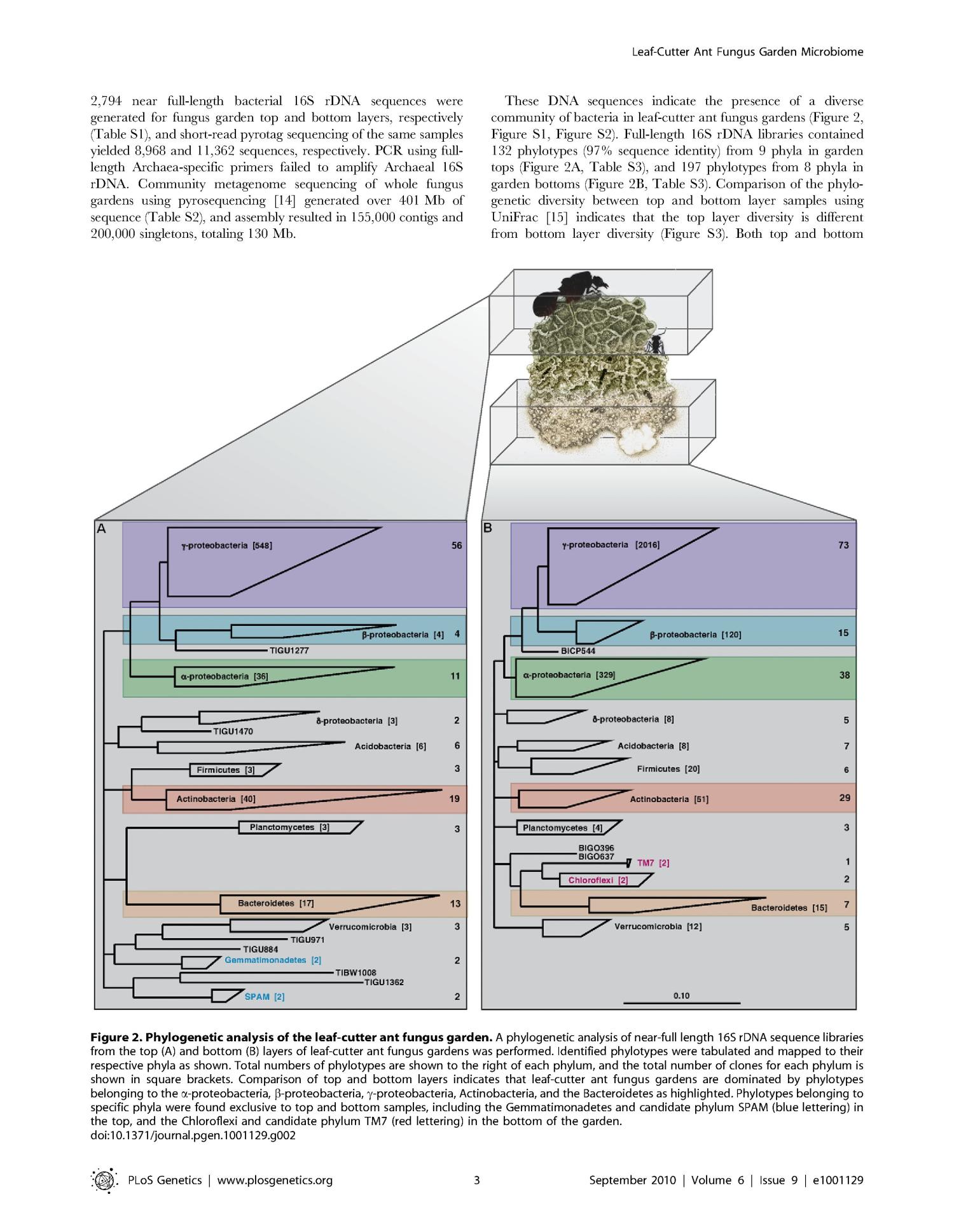 An Insect Herbivore Microbiome with High Plant Biomass-Degrading Capacity
                                                
                                                    [Sequence #]: 3 of 14
                                                