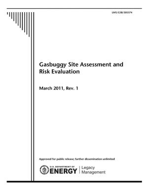 Primary view of object titled 'Gasbuggy Site Assessment and Risk Evaluation'.
