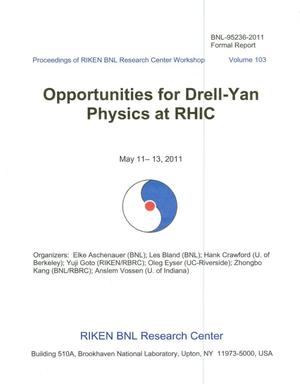 Opportunities for Drell-Yan Physics at RHIC