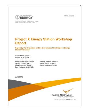Project X Energy Station Workshop Report. Report by the Organizers and Co-Conveners of the Project X Energy Station Workshop
