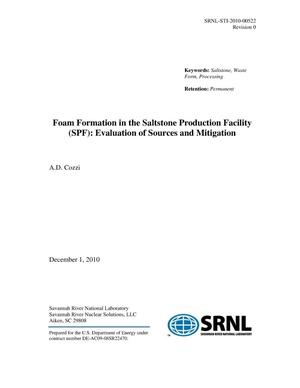 FOAM FORMATION IN THE SALTSTONE PRODUCTION FACILITY: EVALUATION OF SOURCES AND MITIGATION