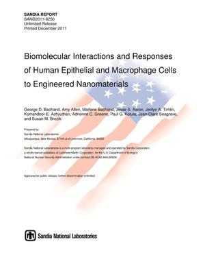 Biomolecular interactions and responses of human epithelial and macrophage cells to engineered nanomaterials.