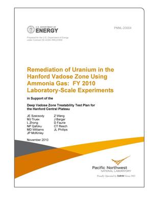 Remediation of Uranium in the Hanford Vadose Zone Using Ammonia Gas: FY 2010 Laboratory-Scale Experiments
