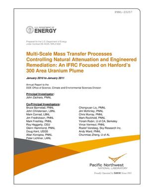Multi-Scale Mass Transfer Processes Controlling Natural Attenuation and Engineered Remediation: An IFRC Focused on Hanford’s 300 Area Uranium Plume January 2010 to January 2011