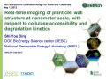 Presentation: Real-Time Imaging of Plant Cell Wall Structure at Nanometer Scale, wi…