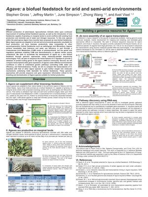 Agave: a biofuel feedstock for arid and semi-arid environments