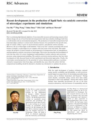 Recent developments in the production of liquid fuels via catalytic conversion of microalgae: experiments and simulations