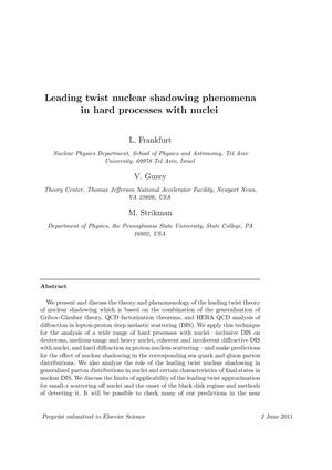 Leading twist nuclear shadowing phenomena in hard processes with nuclei