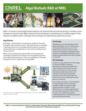 Algal Biofuels R&D at NREL (Brochure)