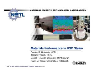 Materials Performance in USC Steam