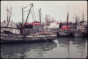 Primary view of object titled 'Fishing boats'.