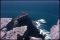 Photograph: The Point, Cape of Good Hope