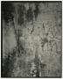Photograph: [Photograph of a textured surface]