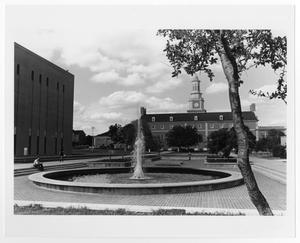 [Photograph of the Library Mall]