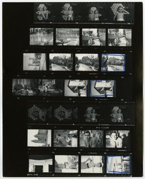 [Seven rows of Kodak safety film, 2]