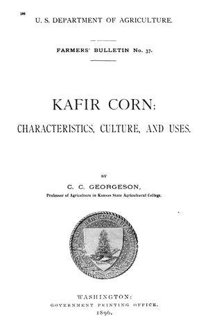 Kafir Corn: Characteristics, Culture, and Uses